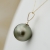 dsc00862_1241731495