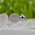 perle_tahiti_polynesie
