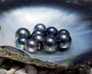 tahiti perles